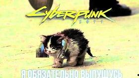 卷毛怎么吃瓜,轻松解锁瓜果美味新姿势