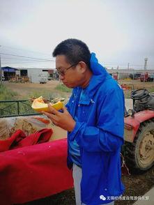 村长吃瓜群,揭秘农村社交新风尚