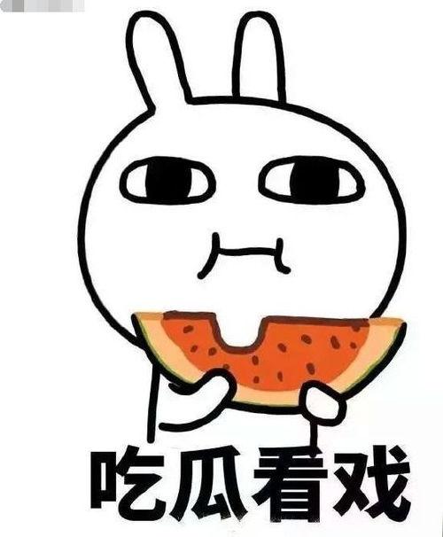 瓜哥吃瓜奇葩动画片视频