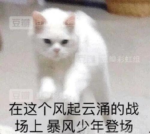 吃瓜很好但要理智吃瓜,享受娱乐生活