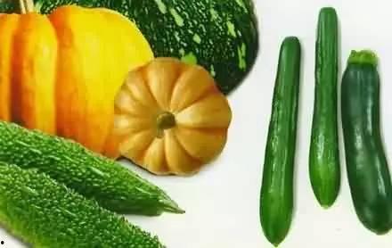 吃瓜的生活,揭秘日常生活中的趣味与智慧