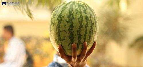 最吃瓜事件,揭秘幕后真相，带你领略娱乐圈风云变幻