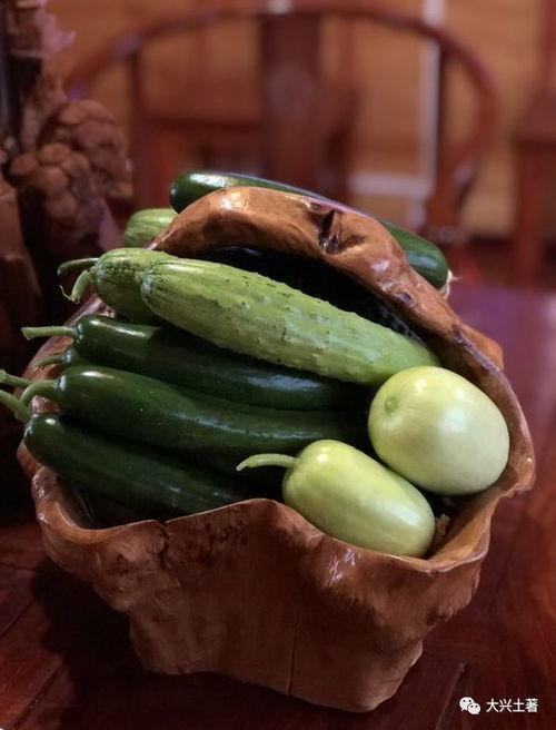 网红mack 吃瓜,揭秘娱乐圈背后的秘密与真相