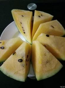 国产吃瓜论坛,揭秘娱乐圈幕后故事，带你领略网络舆论风云