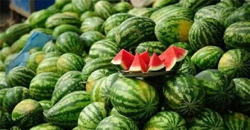 吃瓜行当,一场全民参与的娱乐盛宴