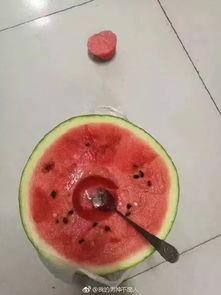 史上最惨的吃瓜,一场荒诞剧的悲喜剧