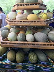 新疆吃的瓜事件,揭秘瓜果背后的故事与争议