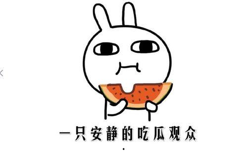 吃瓜的正确玩法,轻松玩转瓜界，畅享夏日清凉