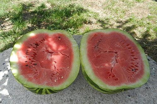 梦见邻居吃瓜,揭秘邻居吃瓜背后的神秘寓意