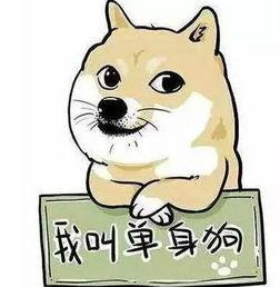 吃瓜的单身狗,笑对单身，乐享生活