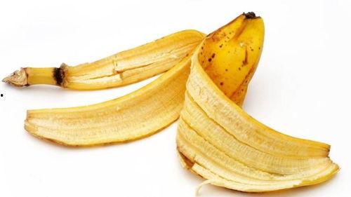 吃瓜香蕉皮,一场关于美食与创新的跨界之旅