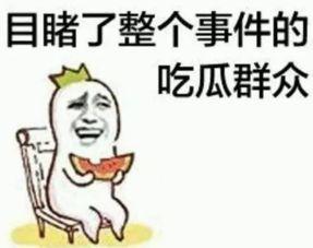 牛仔吃瓜群众,揭秘西部风情中的趣味生活
