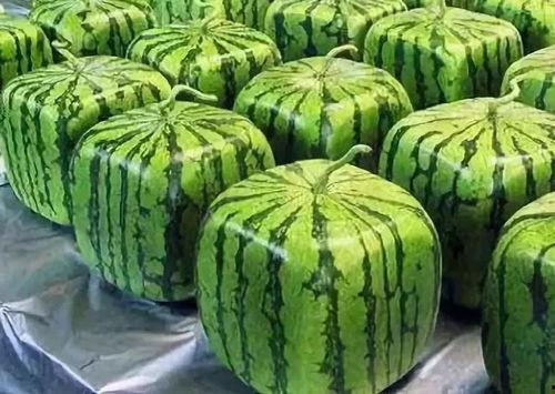 吃瓜不分年,盘点娱乐圈那些事儿