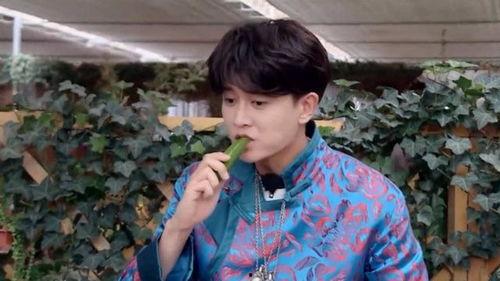 天天吃瓜任嘉伦,任嘉伦的瓜界传奇