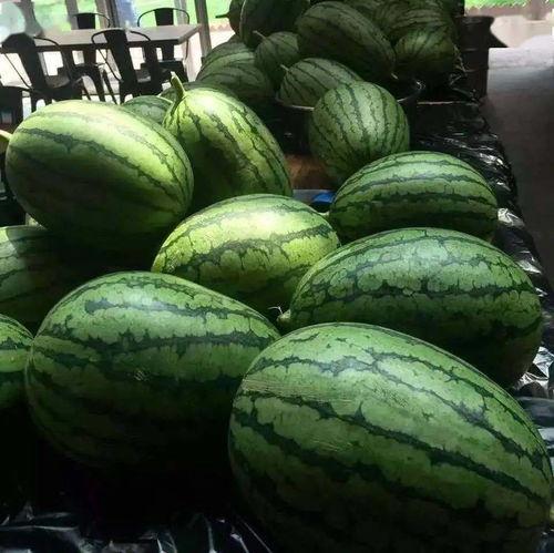 az吃瓜傲光,揭秘娱乐圈背后的真实故事