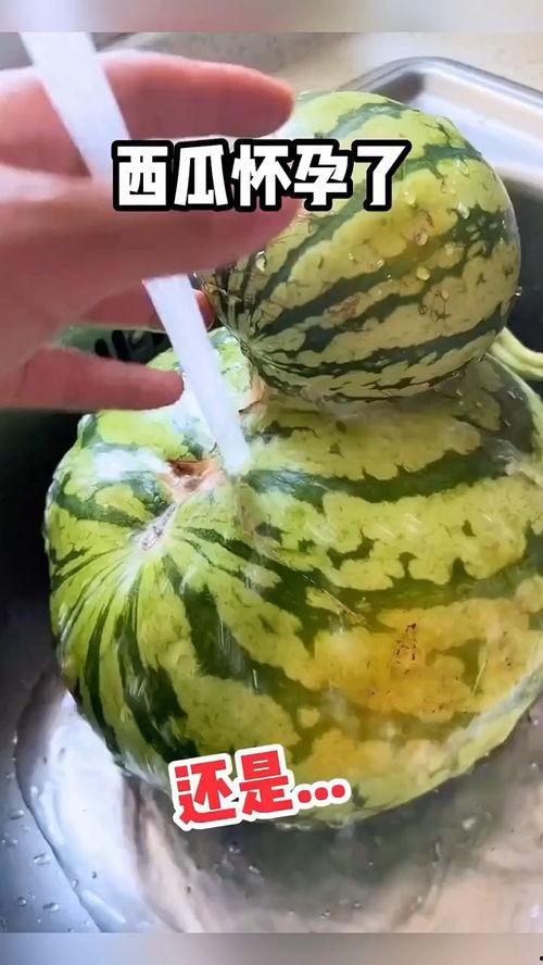 吃瓜视频 搞笑配音,搞笑配音带你笑翻天