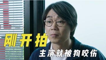 吃瓜爆料君114493,揭秘娱乐圈最新热点事件