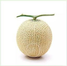 吃瓜群众bud,揭秘娱乐圈幕后故事