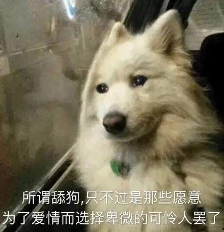 小狗吃瓜文案句子,趣味横生，萌态十足