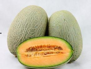哈密瓜过敏可以吃哈密瓜吗,揭秘过敏体质与哈密瓜的微妙关系