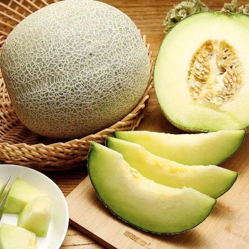 悦甜战队吃瓜专用,揭秘吃瓜背后的欢乐与智慧