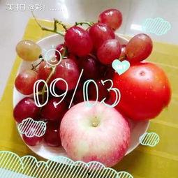 提子视频吃瓜,揭秘网红吃瓜背后的故事