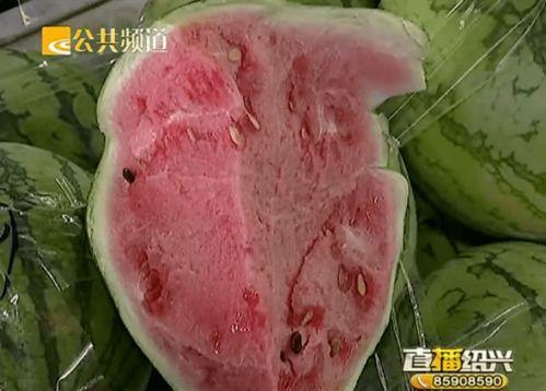 绍兴下雪吃瓜视频,网友直播“下雪吃瓜”现象引发热议