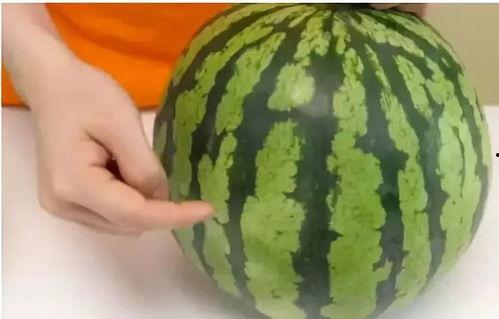 熟瓜可以吃皮吗